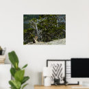 Search for chipmunk posters Wildlife