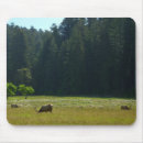 Search for olympic mousepads Wildlife