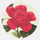 Search for redoute stickers Flower