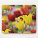 Search for bulbs mousepads Yellow flowers