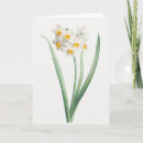 Search for vintage botanical print cards Illustration