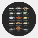 Search for florida fish stickers National parks