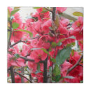 Search for exotic tiles Blossom