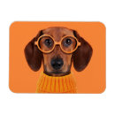 Search for sweater magnets Dog