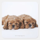 Search for two dogs stickers Full length