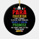 Search for paraeducator Paraprofessional