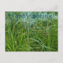 Search for happy spring postcards Celebrate