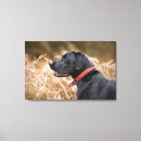 Search for profile art Side view