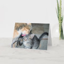 Search for bath cards Cute
