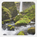 Search for columbia river stickers Stream