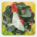Search for luna moth stickers Flowers