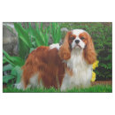 Search for spaniel fabric Ckcs