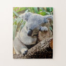 Search for koala puzzles Animals