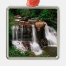 Search for west virginia christmas tree decorations Usa