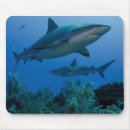 Search for jardine mousepads Jardines de la reina