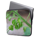 Search for dads laptop cases Mum