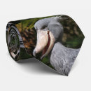 Search for storks ties Shoebill