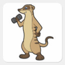 Search for meerkat stickers Birthday