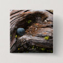 Search for sequoia badges Trees