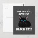 Search for black kitty postcards Feline