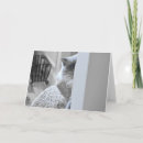 Search for ragdoll cat cards Pet