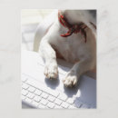 Search for laptops postcards Technology