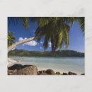 Search for mouche Beach