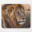 Search for east africa electronics African