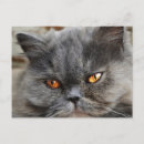 Search for magic eye postcards Eyes