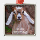 Search for goat christmas decor Kid