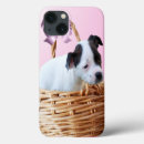 Search for staffordshire iphone cases Staffy