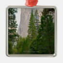 Search for tranquil scene christmas tree decorations Nature