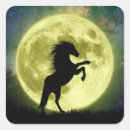 Search for horse silhouette stickers Riding