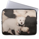 Search for dog napping electronics Sleeping