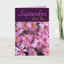 Search for aster flowers cards September