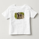 Search for threatened tshirts Primate