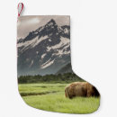 Search for alaska christmas stockings Nature