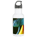 Search for lizard water bottles Animal
