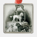 Search for domestic christmas tree decorations English