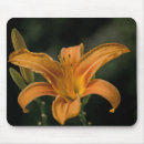 Search for garden mousepads Lily