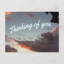 Search for thinking postcards Sunset