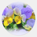 Search for pansy stickers Purple