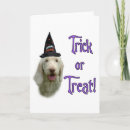 Search for trick cards Animals