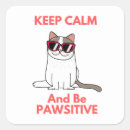 Search for pawsitivity stickers Kitty