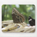 Search for feed electronics Wildlife