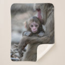 Search for monkey blankets Animals in the wild