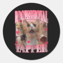 Search for funny cat meme stickers Cat ladies for kamala