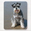 Search for schnauzer mousepads Terrier