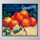 Search for sebastopol posters Lantern