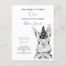 Search for white bunny First birthday